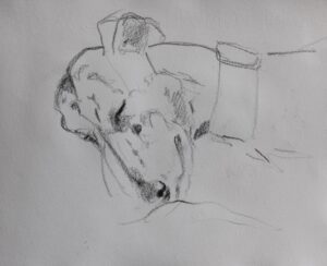 Lurcher Study 2