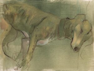Sleeping Lurcher 2
